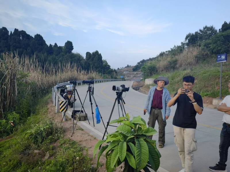 两当县电商产品视频拍摄制作：如何打造高转化的电商视觉内容？